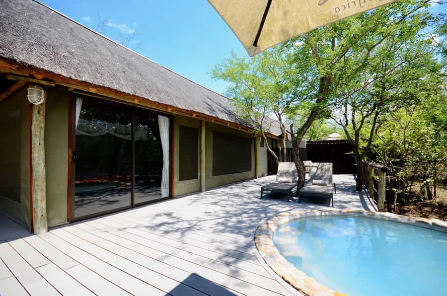 Johannesburg: 6-Day Luxury Kruger National Park Safari - Guides, group size, and the daily pace