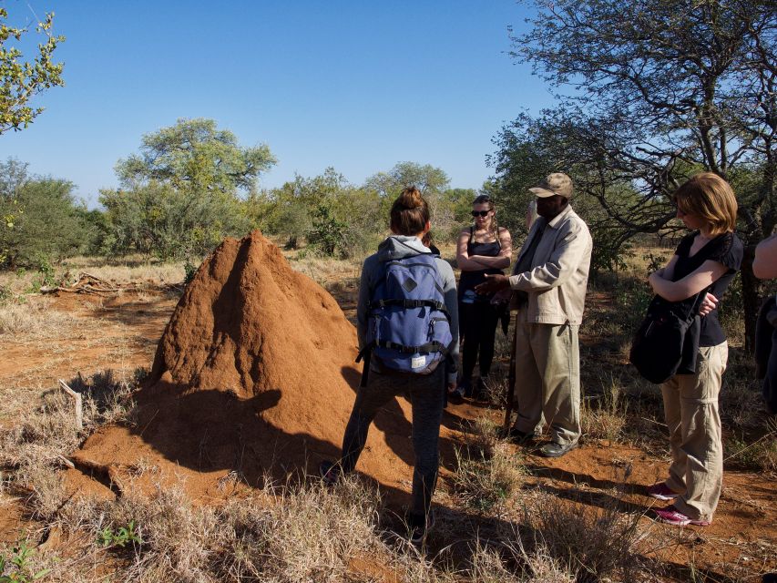 Johannesburg: 6-Day Luxury Kruger National Park Safari - Day 3: Your first full day inside Kruger National Park