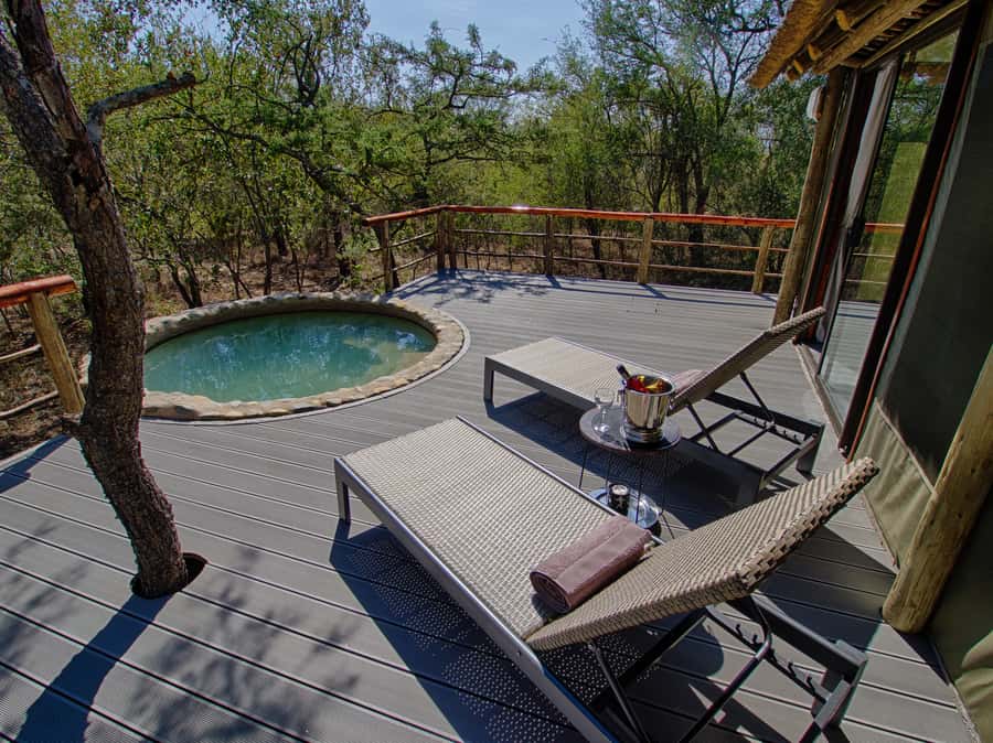 Johannesburg: 6-Day Luxury Kruger National Park Safari - Day 4: Conservation at Moholoholo, then another sunset drive