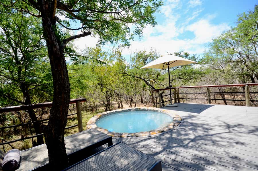 Johannesburg: 6-Day Luxury Kruger National Park Safari - Day 6: Morning walk and the Blyde River Canyon