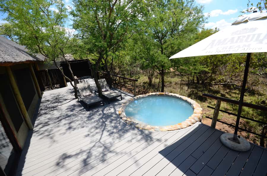 Johannesburg: 6-Day Luxury Kruger National Park Safari - Lodging: simple Tremisana, more polished Katekani