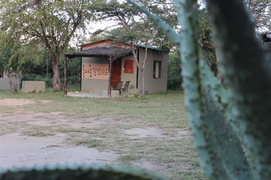 Johannesburg: Affordable 3 Day Kruger Park Safari - Day 1: From Johannesburg to a Balule night drive