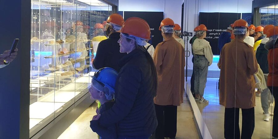 Johannesburg: Cradle of Human Kind & Lesedi Cultural Village - Who should book this Johannesburg day trip?