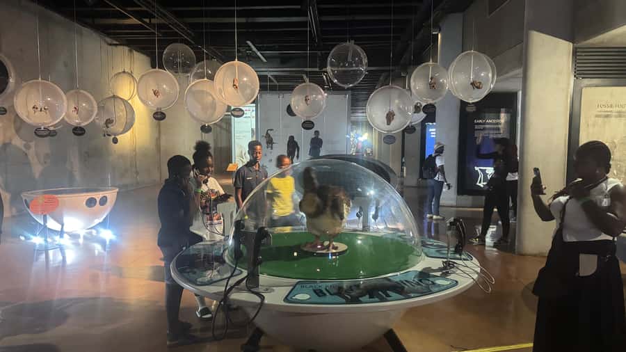 Johannesburg: Cradle of Humankind & Harties Aerial Cableway - My call: book it for the combination