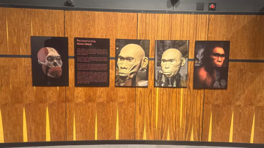 Johannesburg: Cradle of Humankind & Harties Aerial Cableway - Maropeng and the story of human origins