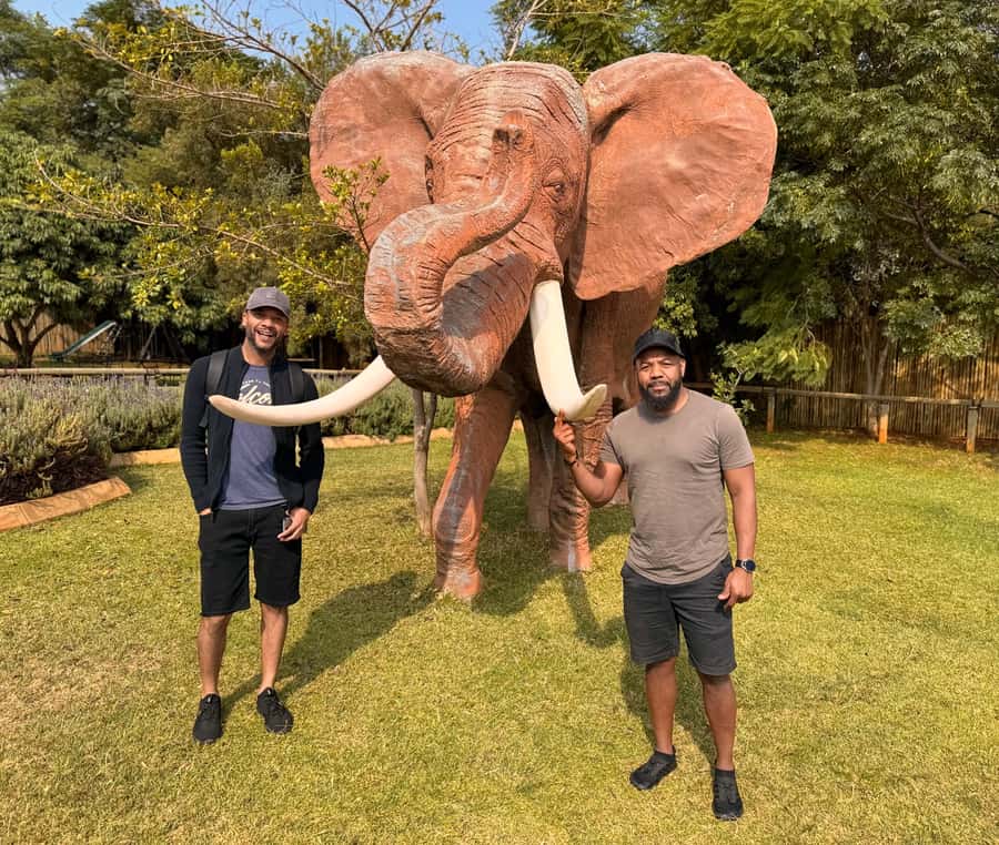 Johannesburg: Elephant and Monkey Sanctuary Half Day Tour - Should you book the elephant and monkey tour?