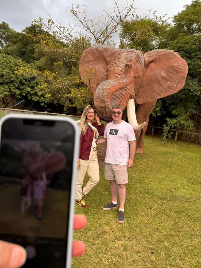 Johannesburg: Elephant and Monkey Sanctuary Half Day Tour - Why the combination works