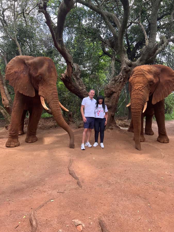 Johannesburg: Elephant and Monkey Sanctuary Half Day Tour - Is $235 per person a fair price?