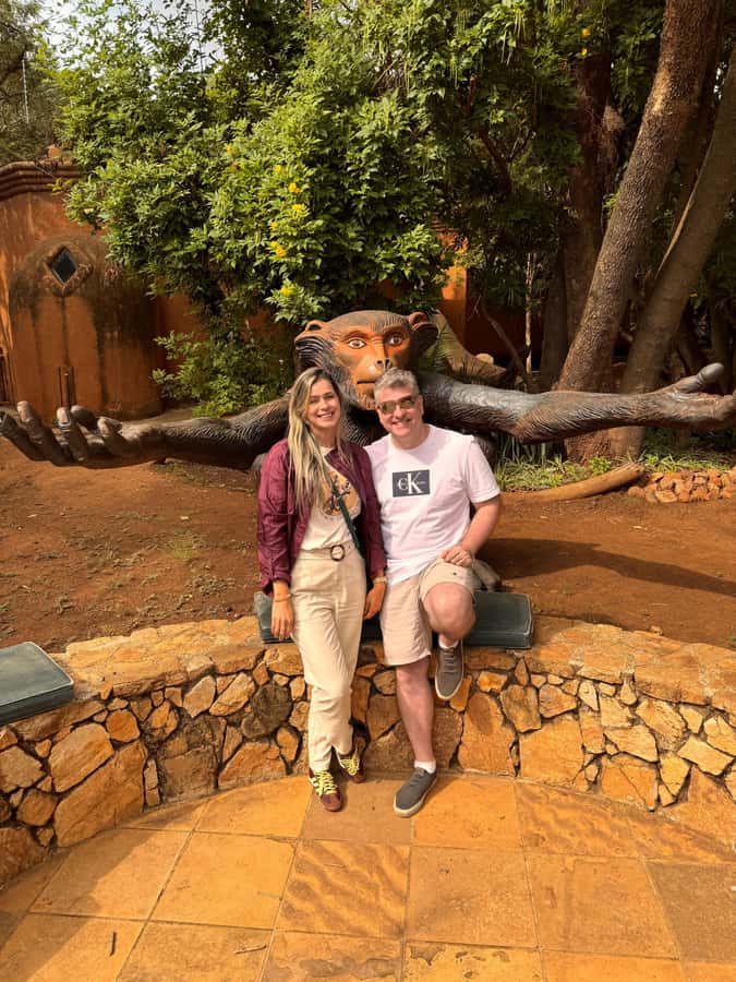Johannesburg: Elephant and Monkey Sanctuary Half Day Tour - What the strong ratings tell you