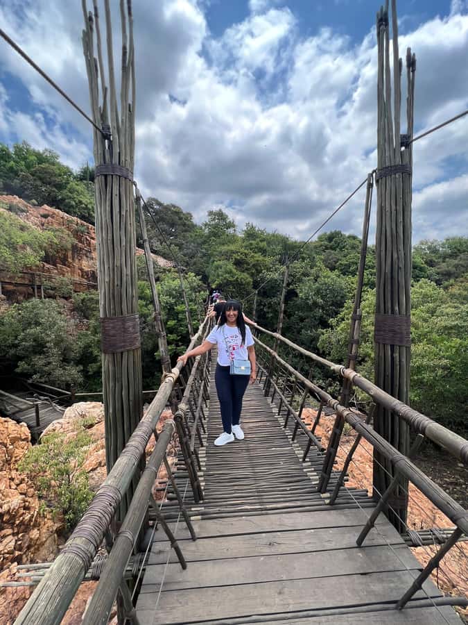 Johannesburg: Elephant and Monkey Sanctuary Half Day Tour - Two hours with African elephants