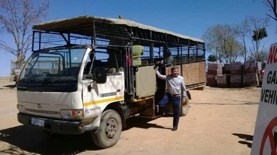 Johannesburg: Lion and Safari Park tour. Pick up Privately - Why the predator viewing is the main event