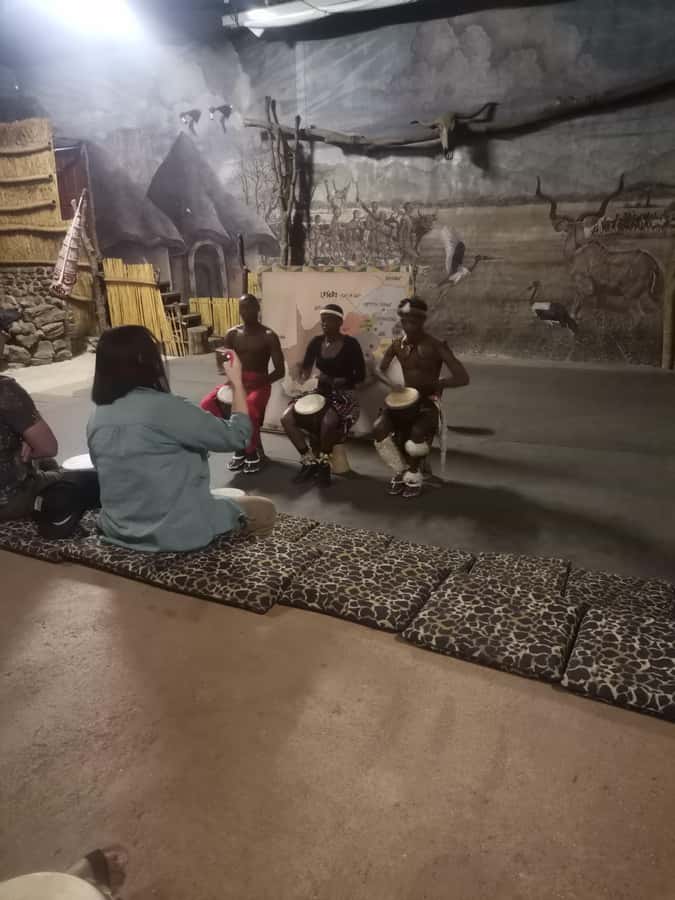 Johannesburg: Lion Park Safari and Cultural Village Tour - Final decision: book it for variety