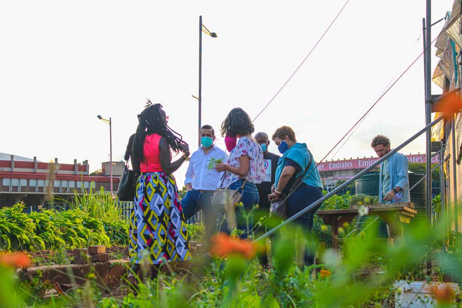 Johannesburg: Pan-African Cooking & Dinning Experience - A Johannesburg food evening that feels personal