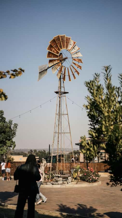 Johannesburg: Private Walking Tour with a Local - Soweto and the value of a local perspective