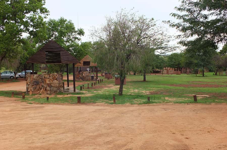Johannesburg: Rhino and Lion Nature Reserve Safari - Who will enjoy this safari most?