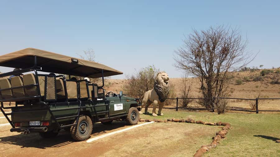 Johannesburg: Rhino and Lion Nature Reserve Safari - What to bring and how to prepare