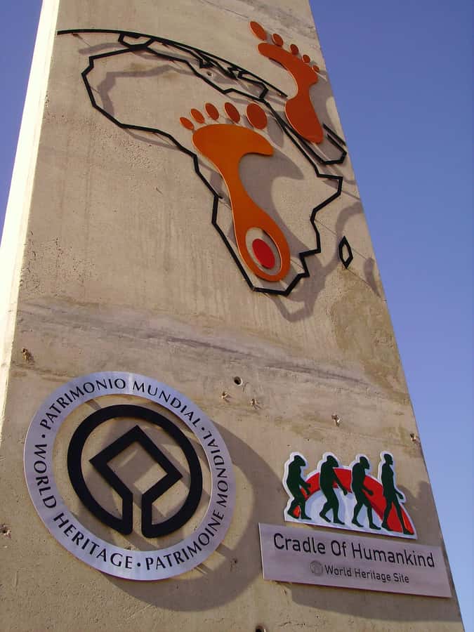 Johannesburg: Soweto, Apartheid Museum, and Cradle tours - Key points to know before booking