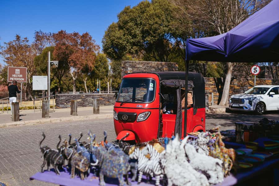 Johannesburg: Soweto Tour by Tuk Tuk - Vilakazi Street and Mandela House
