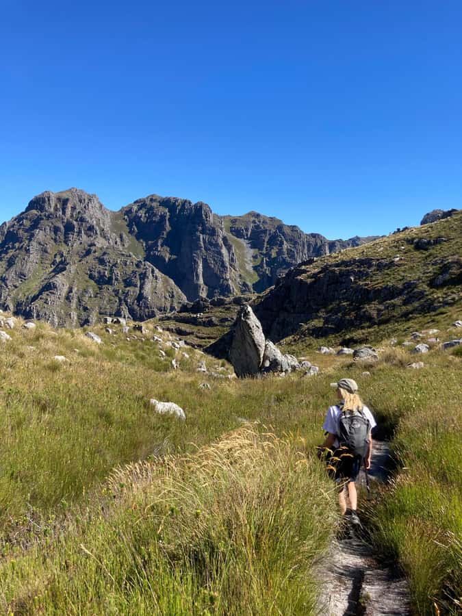 Jonkershoek Nature Reserve: Guided Panorama Trail Hike - Key points to know before you book