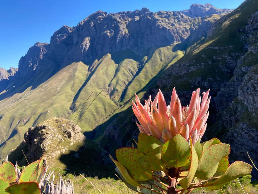 Jonkershoek Nature Reserve: Guided Panorama Trail Hike - A hard climb with a big scenic payoff