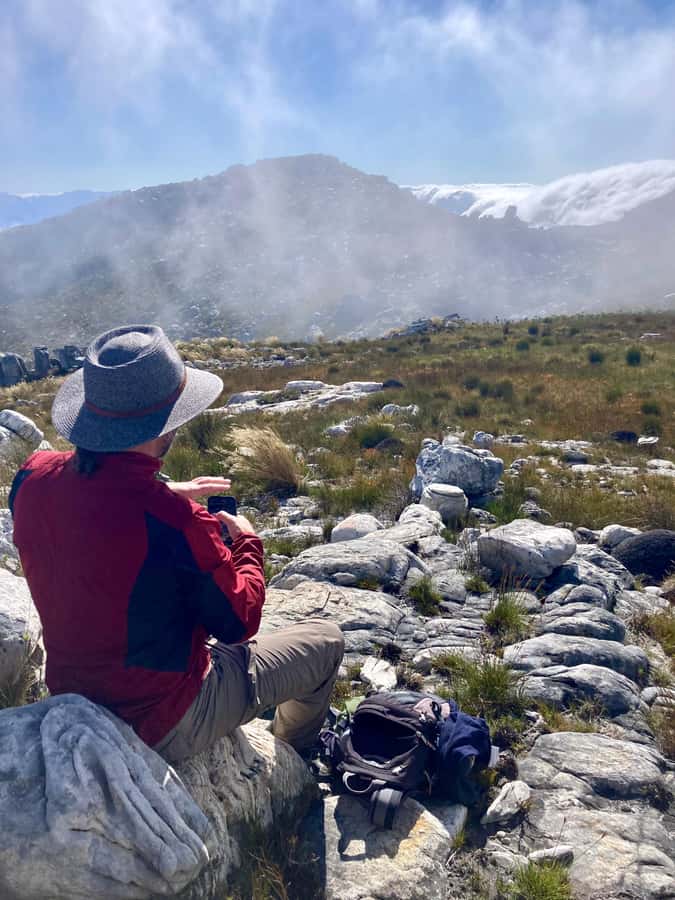 Jonkershoek Nature Reserve: Guided Panorama Trail Hike - Fynbos, proteas, and changing mountain country