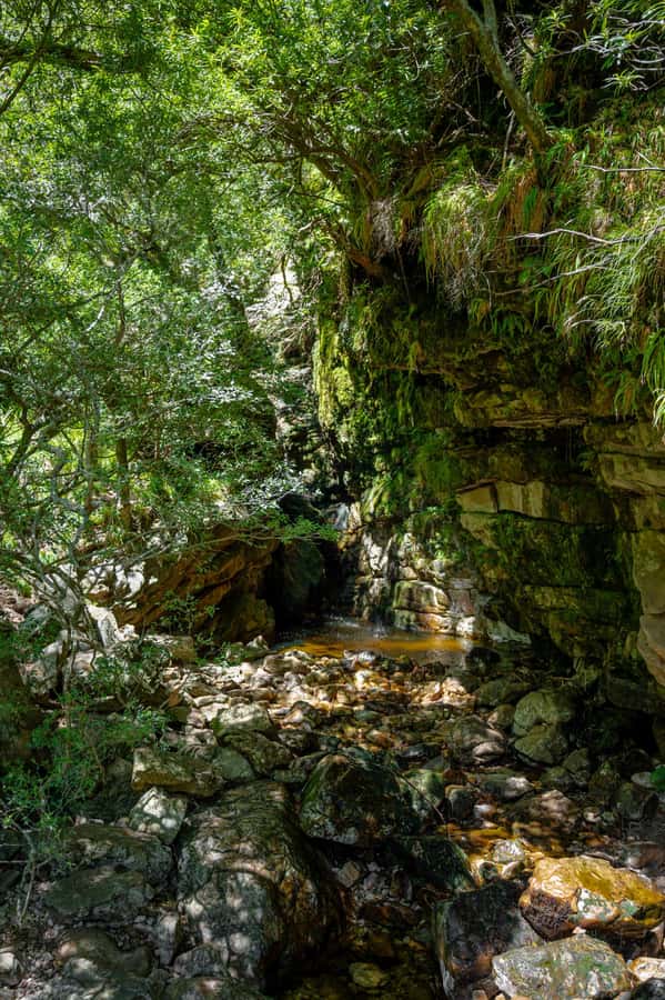 Jonkershoek: Waterfall Hike and 4x4 Safari Ride - Who should book this Jonkershoek tour?
