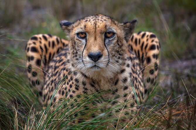 Jukani Wildlife Sanctuary Admission with Guided Tour - Who will get the most from this visit?