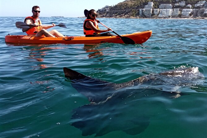 Kayak Adventure at Clifton Beach - Rock pools, kelp, and the Maiden’s Cove side