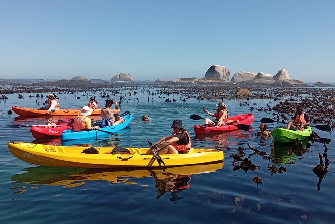Kayak Adventure at Clifton Beach - What the $28.86 price gets you