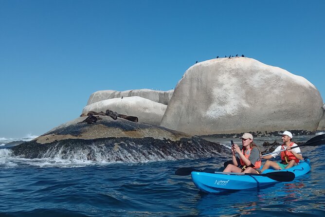 Kayak Adventure at Clifton Beach - Choosing the right day in Cape Town