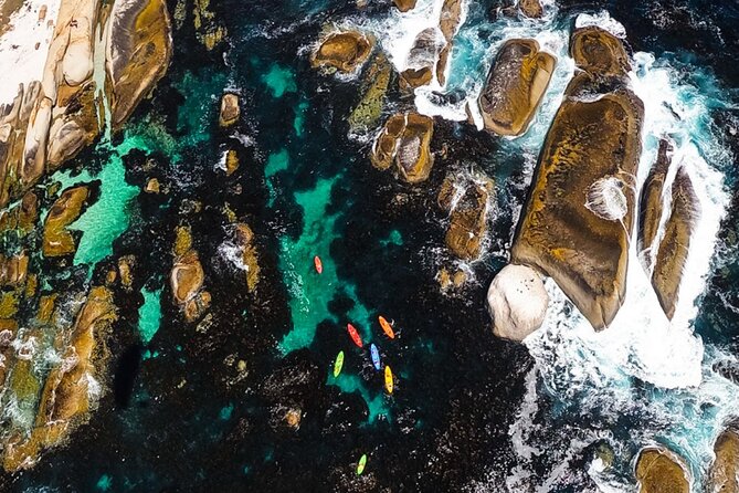 Kayak Adventure at Clifton Beach - Who will enjoy this Clifton kayak trip