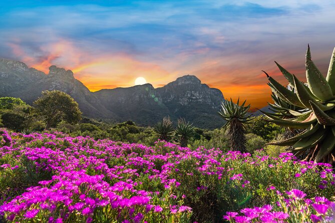 Kirstenbosch Botanical Gardens and Constantia Wine Tasting Tour. - Kirstenbosch: give the garden its full two hours