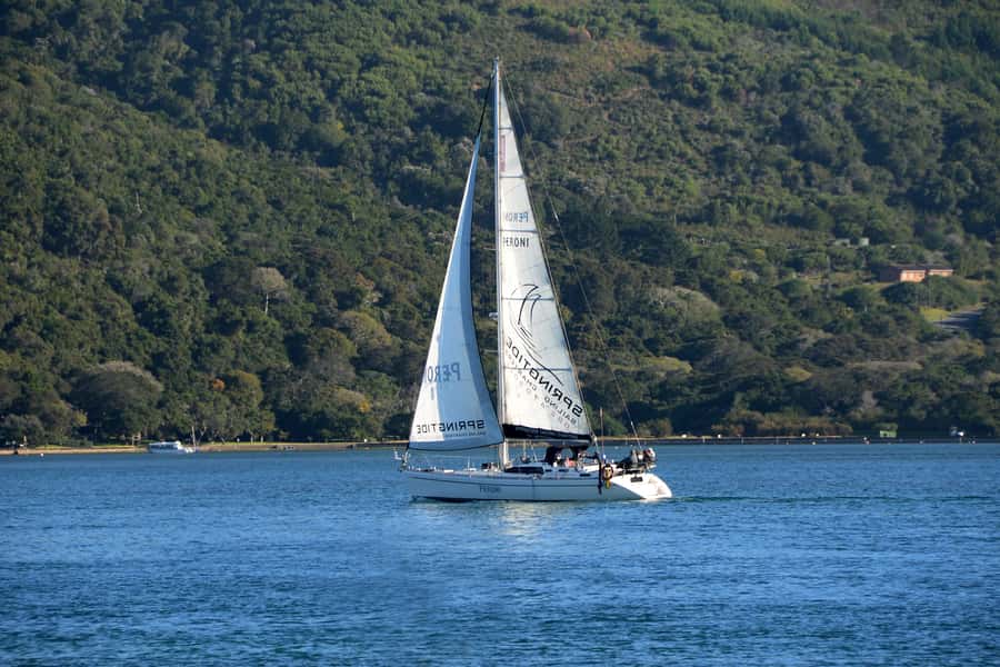 Knysna: 2.5-Hour Day Sail & Lunch Charter - What sailing a monohull feels like