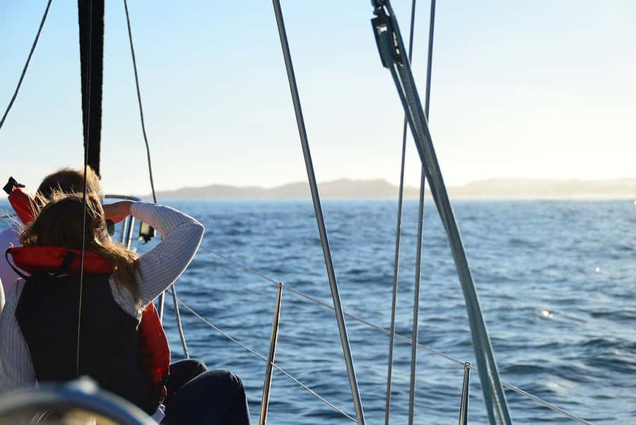 Knysna: 2.5-Hour Day Sail & Lunch Charter - Wildlife, views, and the value of a slow route