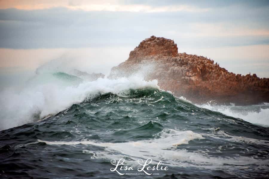 Knysna: 2.5-Hour Day Sail & Lunch Charter - Lunch, drinks, and what to wear