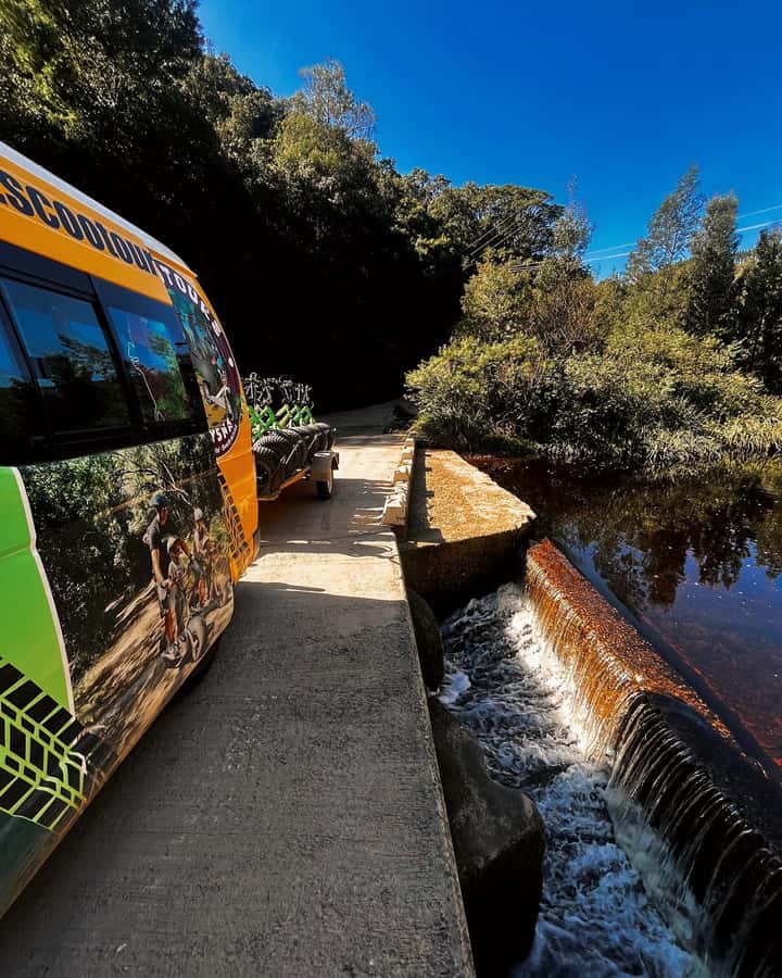 Knysna: Downhill Forest Scootour Adventure - Why the downhill format works so well