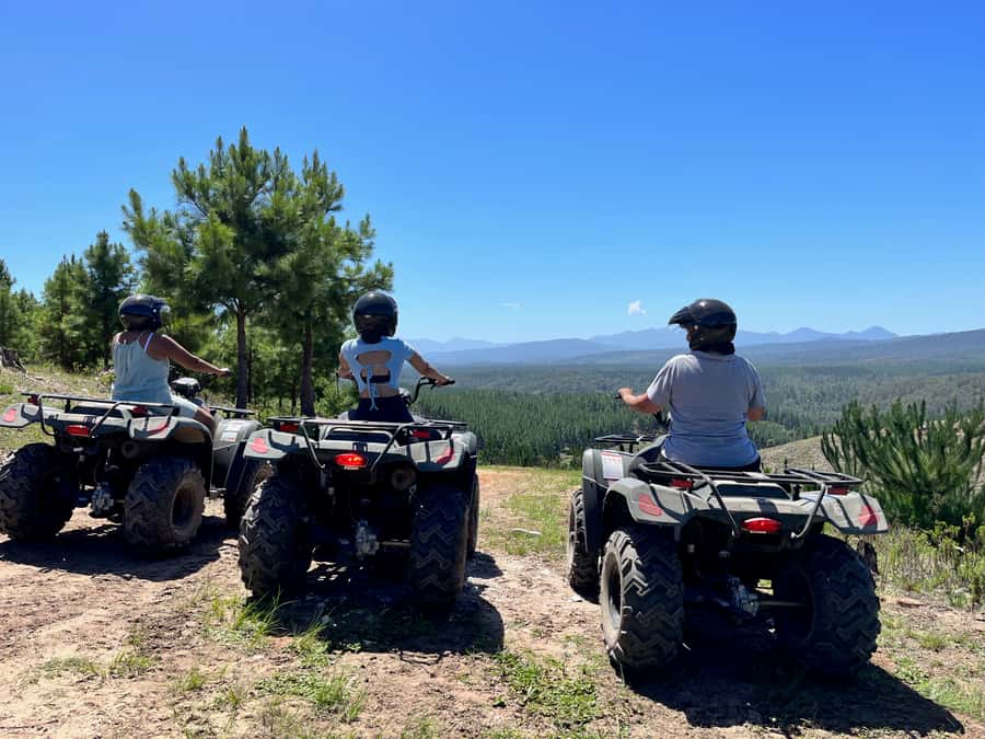 Knysna: Guided Quad Bike Tour in the Forest - What the guide adds to the ride