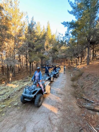 Guided Quad Bike Tour in the Forest