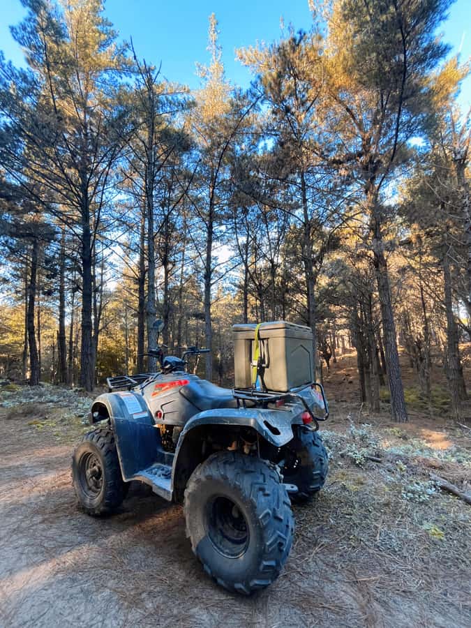Knysna: Guided Quad Bike Tour in the Forest - Who will enjoy this most