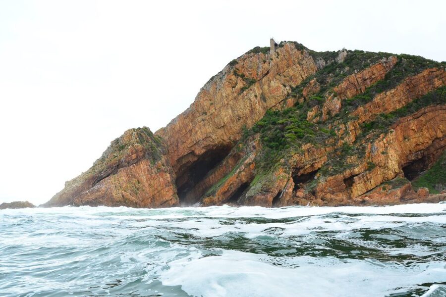 Knysna Heads and Estuary Adventure - Reading the Knysna Estuary from the water