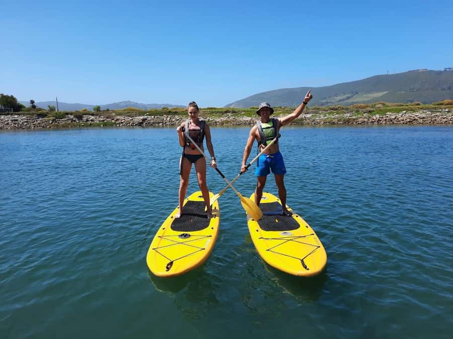 Knysna Kayak Hire - Why a one-hour paddle works well in Knysna