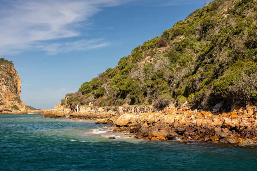 Knysna: Knysna Lagoon Pontoon Boat Cruise - What the $29 price really gives you