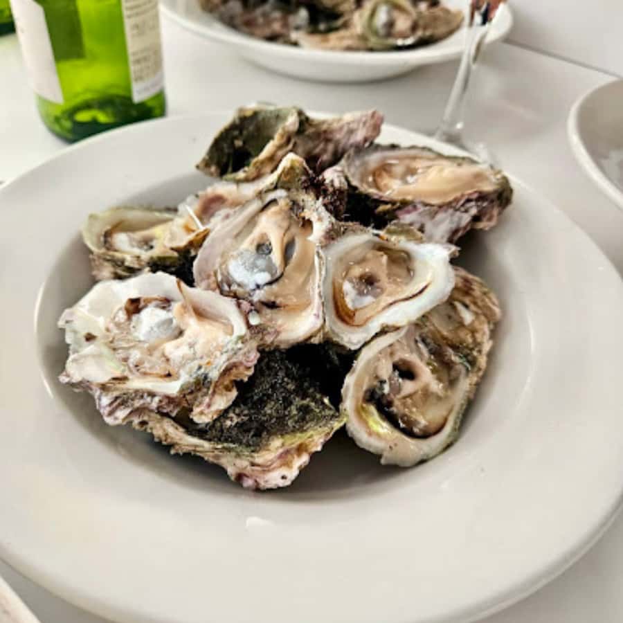 Knysna Lagoon: Boat Cruise with Oyster & White Wine Tasting - Learning the oyster story while you sail