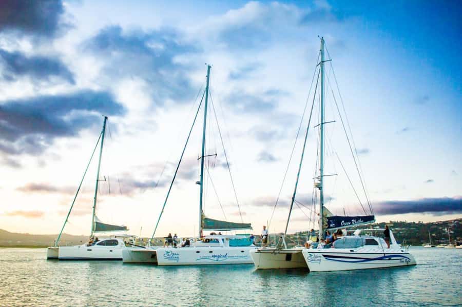 Knysna: Luxury Catamaran Marine Adventure Tour - Starting at Thesen Island and Sirocco Jetty