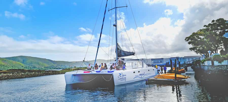 Knysna: Luxury Catamaran Marine Adventure Tour - Bubbly, snacks, and the pace on board