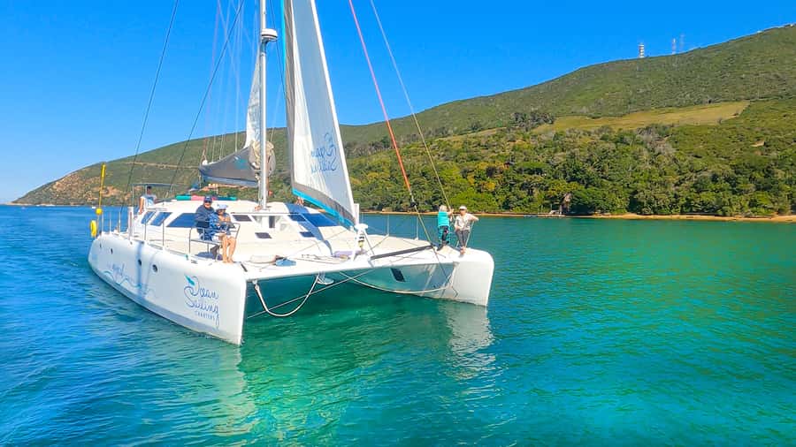 Knysna: Luxury Sunset Cruise with Captain's Barbeque - Passing Leisure Isle and Featherbed Nature Reserve