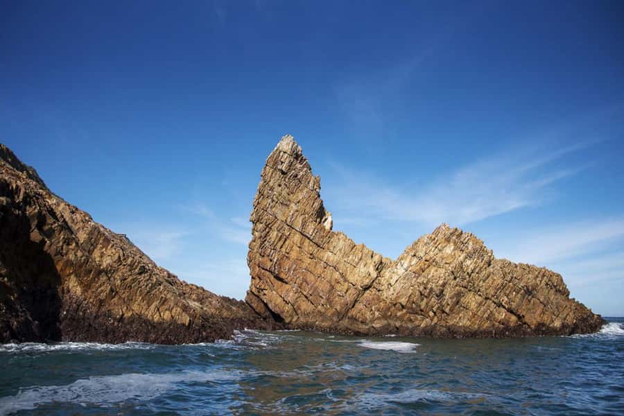 Knysna: Marine Life & Garden Route Coastline Tour - Key points to know before you book