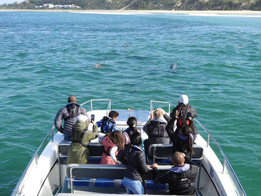 Knysna: Marine Life & Garden Route Coastline Tour - From Thesen Island to the Knysna estuary