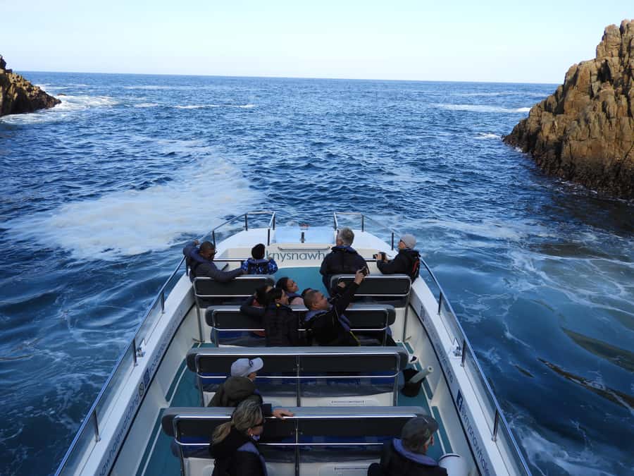Knysna: Marine Life & Garden Route Coastline Tour - Why the smaller group matters
