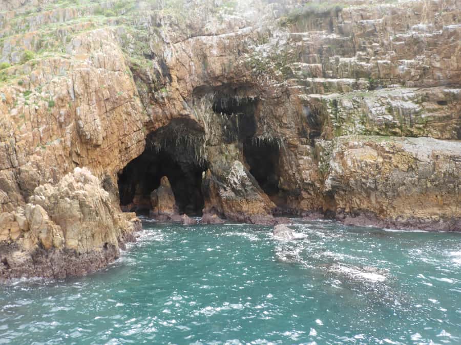 Knysna: Marine Life & Garden Route Coastline Tour - The $5 price and what it really buys you
